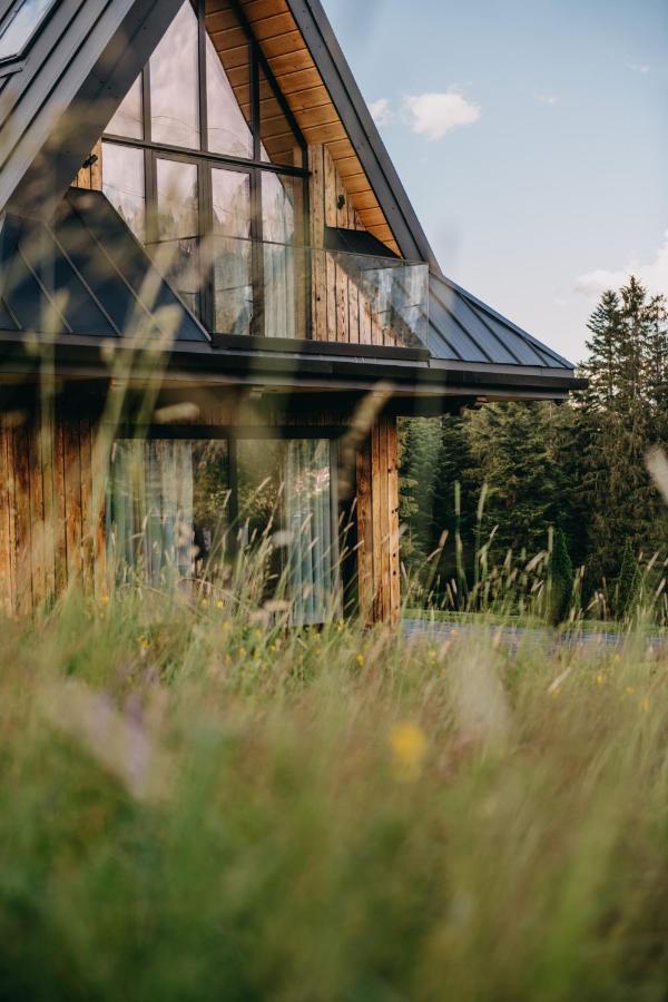 Sywarne Chalet Kościelisko Exterior foto